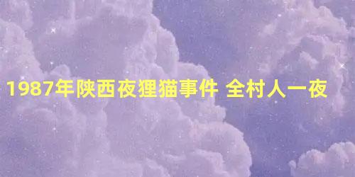 1987年陕西夜狸猫事件 全村人一夜消失不见到底为何